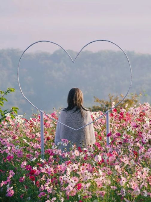 絶景に出逢える！本当は教えたくない天空の花園🌸