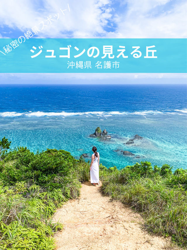 【沖縄 名護市】予約制の秘密の絶景スポット、ジュゴンの見える丘（嘉陽フライトエリア）🌊