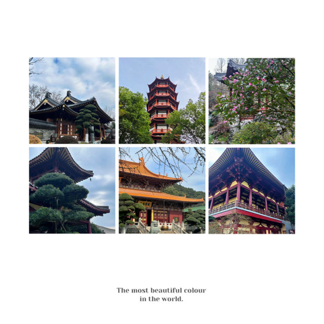 「金台寺」：古老神秘的異域世界
