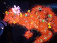 🇯🇵東京旅遊必去奇幻的Teamlab 世界