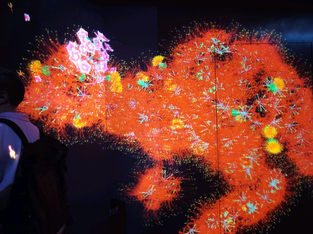 🇯🇵東京旅遊必去奇幻的Teamlab 世界