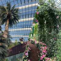 Singapore Flower Dome