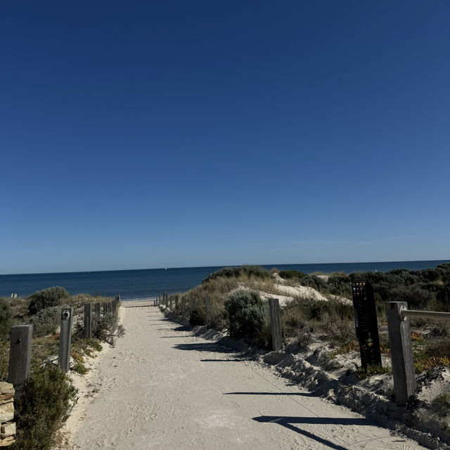Walk from Glenelg to Grange Beach 🏝️