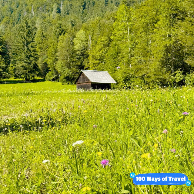 Hidden Gem of the Alps: Triglav National Park, Slovenia Steals My Heart 