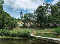 บ้านไหมเหลือง สระบุรี