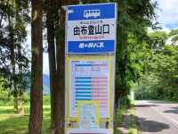 【由布岳:大分県由布市】夏を感じる緑が綺麗な絶景由布岳⛰️