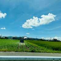 Fukuoka Selfdrive Fruit Farm & Mount Aso Summer Trip