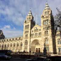 Exploring the Natural History Museum in London