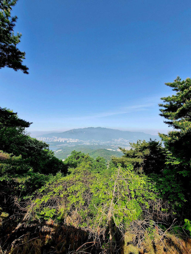 ✨가족과 함께 서울 근교 청계산 추천해요😘