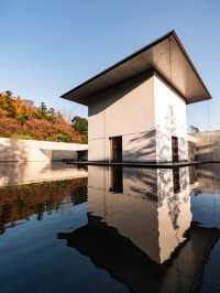 [金澤] 哲學x佛教x建築 一場沉浸式修行之旅