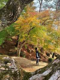 유네스코 세계유산 안동 도산서원🍁
