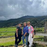 A Scenic & Unique Experience at Desa Dairy Farm Kundasang