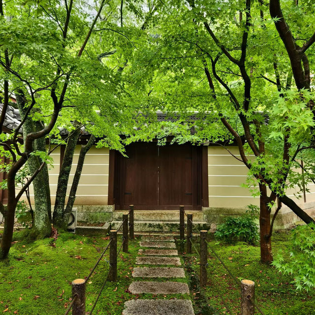 【大阪景點】西之丸庭園：雨中迷人景色～享受日本庭院風情