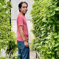 "Urban Oasis: A Unique Farm-to-Table Experience in Aquaponic Garden Café"