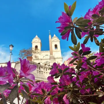 A Blooming Delight: The Spanish Steps in Full Flower