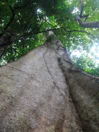 เที่ยววัดเขาบรรจบ จันทบุรี