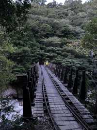 屋久島トレッキング