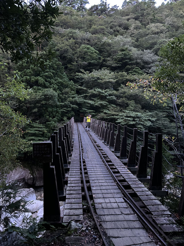 屋久島トレッキング