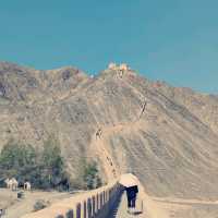 Visit if the Jiayuguan Scenic area