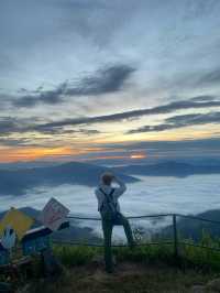 ดอยผาตั้ง | จ.เชียงราย ⛰️⛅️🌳🌼