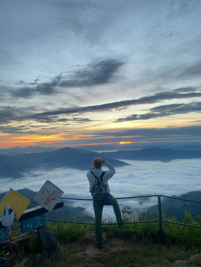 ดอยผาตั้ง | จ.เชียงราย ⛰️⛅️🌳🌼