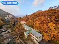 北海道賞楓-如詩如畫的定山溪二見吊橋