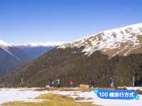 📍紐西蘭南島。尼爾森湖｜絕美賞雪步道