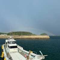  八丈島：悠閒小島的慢生活🌴🌊