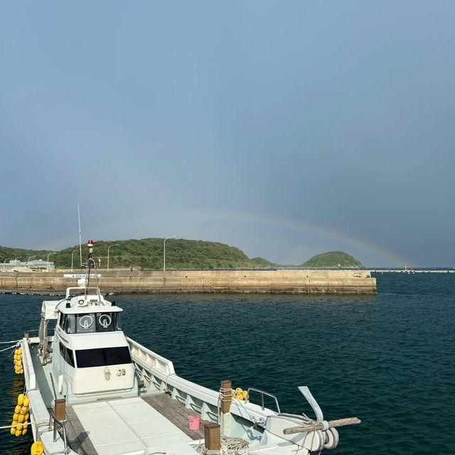  八丈島：悠閒小島的慢生活🌴🌊