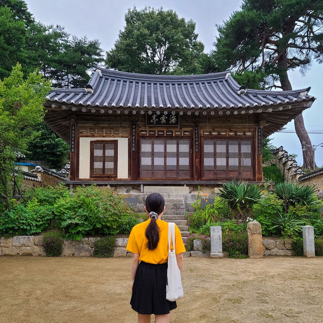 강릉역에서 경포호까지, 느긋하게 즐기는 완벽한 하루 코스