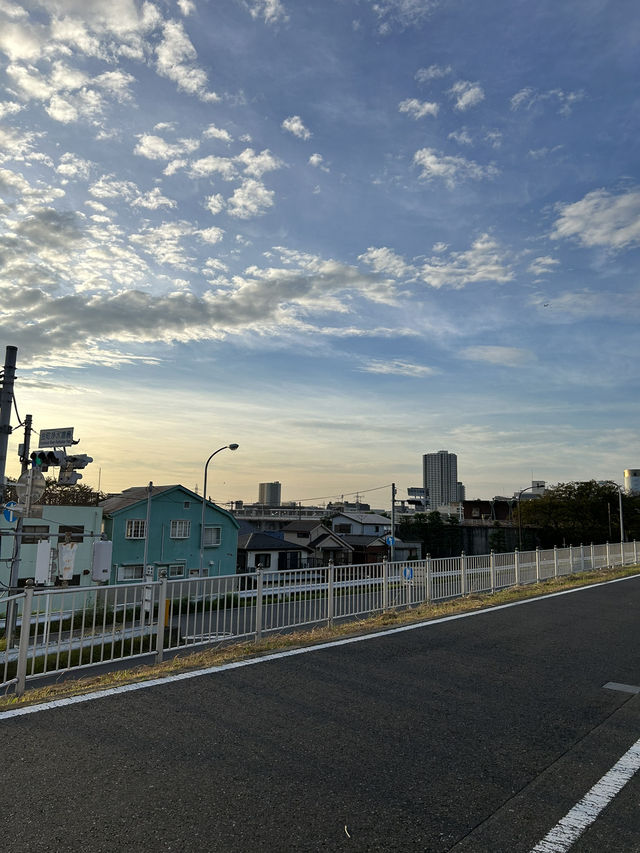 일본 소도시 시바마타 공원🌳🩵