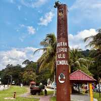 "Explore Nature on the Scenic Hiking Trails of Taman Eko Rimba Ulu Bendul"