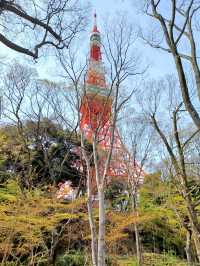 【東京タワー:東京都港区】美しい東京のシンボル♪