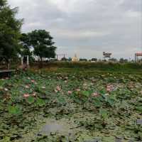 บ้านพาทิศ
