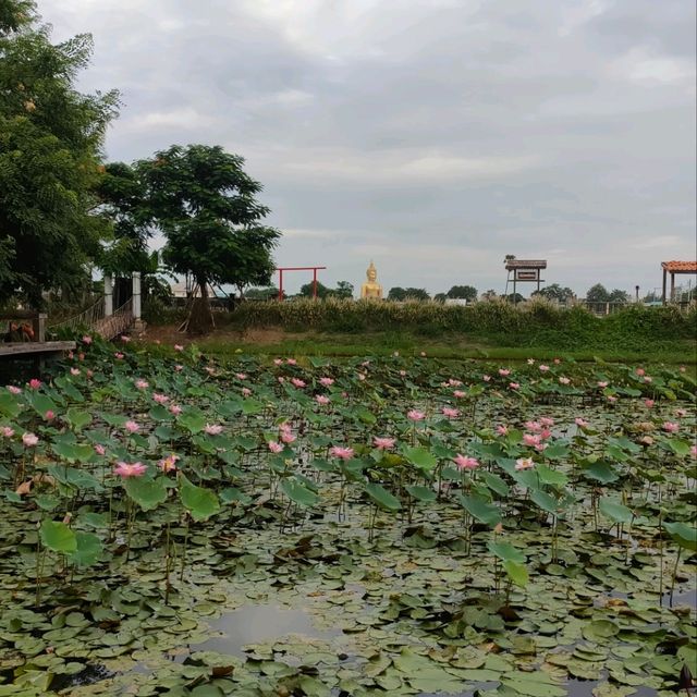 บ้านพาทิศ