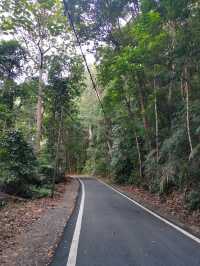 Exploring Tanjung Tuan Recreational Forest 🌿
