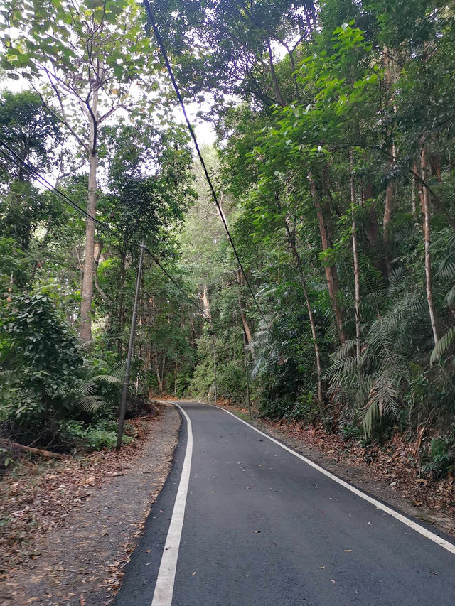 Exploring Tanjung Tuan Recreational Forest 🌿