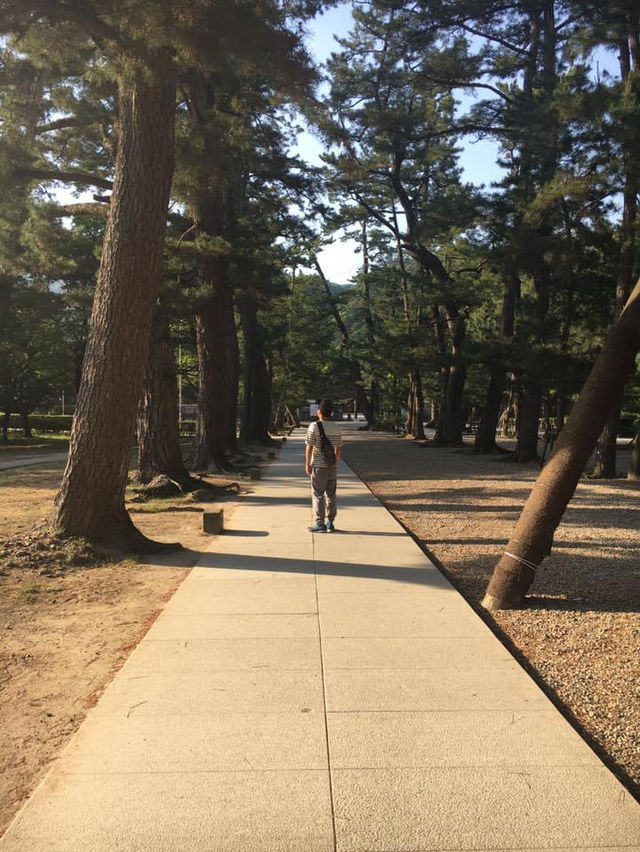 【島根観光】縁結びの聖地！「出雲大社」⛩️💕