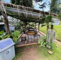 清邁 - Elefin farm&cafe 大象咖啡廳