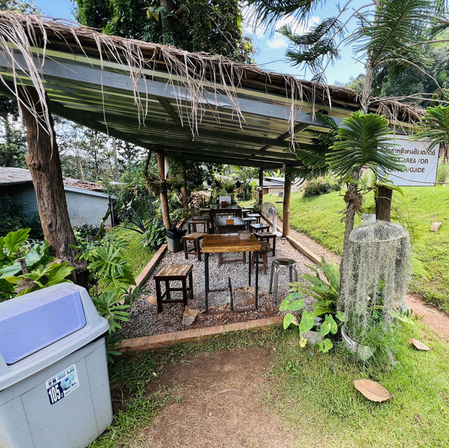 清邁 - Elefin farm&cafe 大象咖啡廳