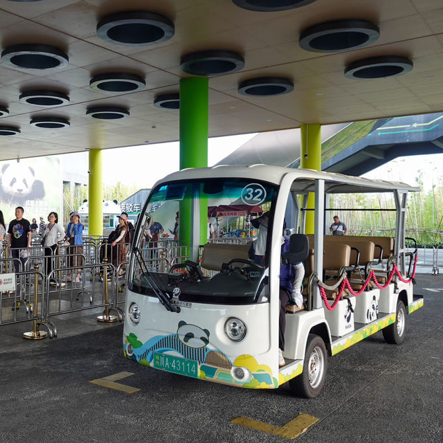 Into Giant Panda Land!