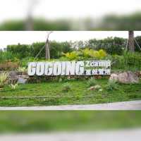 GOGOING·Zcamp星艦營地