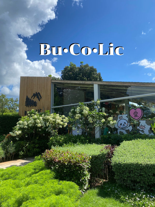 BUCOLIC คาเฟ่สุดฮิตที่เขาใหญ่