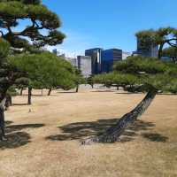Very impressive garden & a must visit spot in Tokyo.