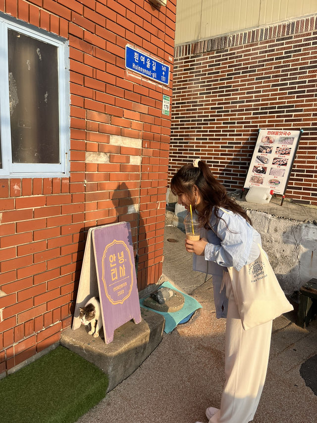 韓國🇰🇷釜山｜白淺灘文化村☁️彷如希臘聖托里尼藍白小鎮🩵