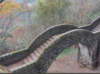 新北｜拱北殿賞楓