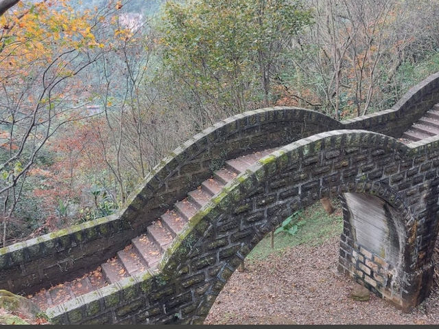 新北｜拱北殿賞楓