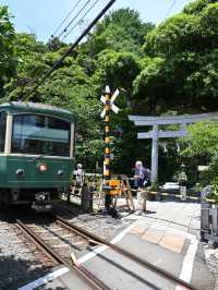 鳥居と江ノ電のコラボが素敵すぎる