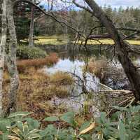 Rewarding sights at Shiretoko Five Lakes morning walk late autumn