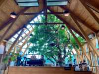 I N   L A  Y A CAFE ఇ 🌳 ⥽ 🏔 𓈒 